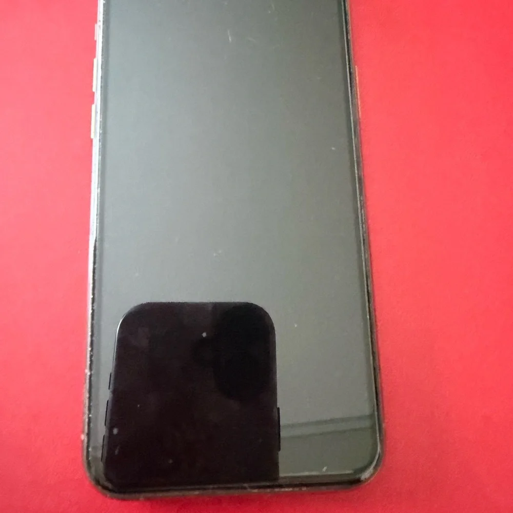 Apple iPhone 11 Pro Max White with Silver Accents